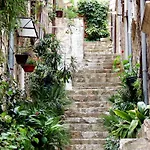 Tihana Dubrovnik