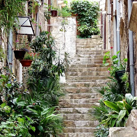 Tihana Дубровник